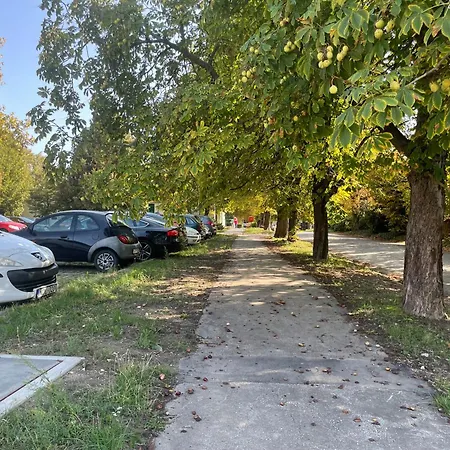 Case de vacanță Nosztalgia Vendeghaz A Velencei-tonal